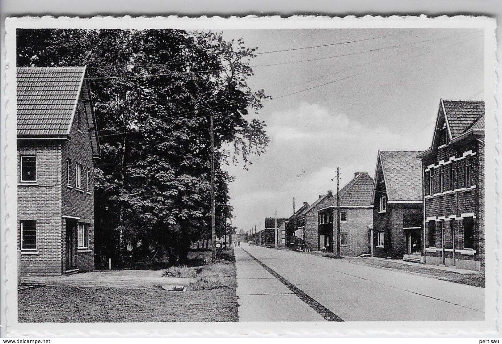 Hamse Steenweg Beverlo - Beringen