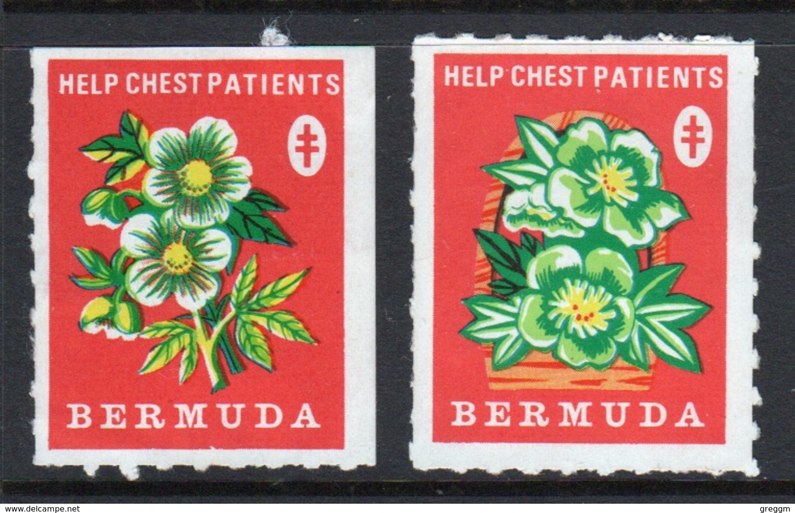 Bermuda  Christmas Charity Label Undated And Inscribed Help Chest Patients In Mounted Mint Condition. - Cinderellas