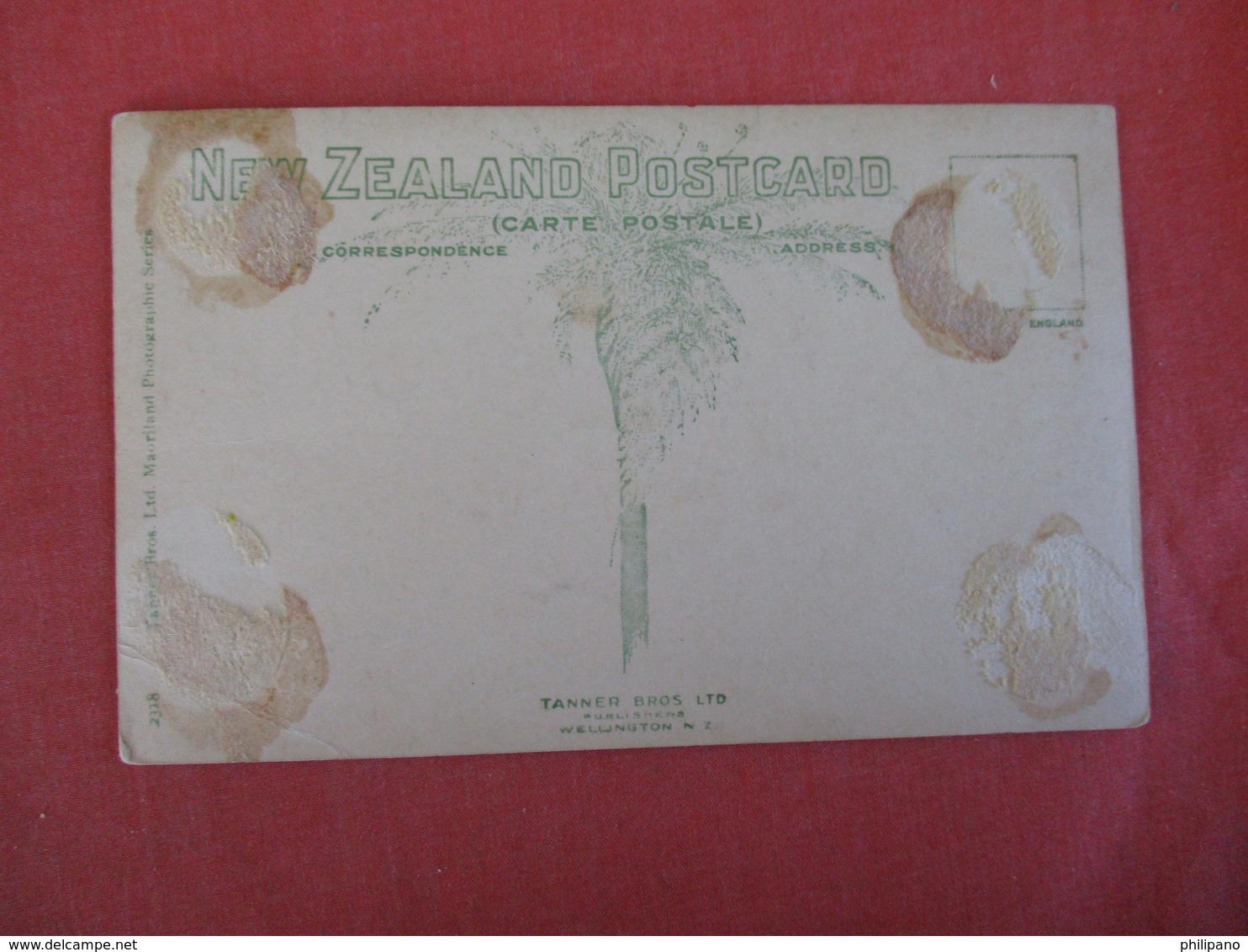 RPPC  New Zealand Church Of England Gisborne - Glue Residue On Back Ref 3024 - New Zealand