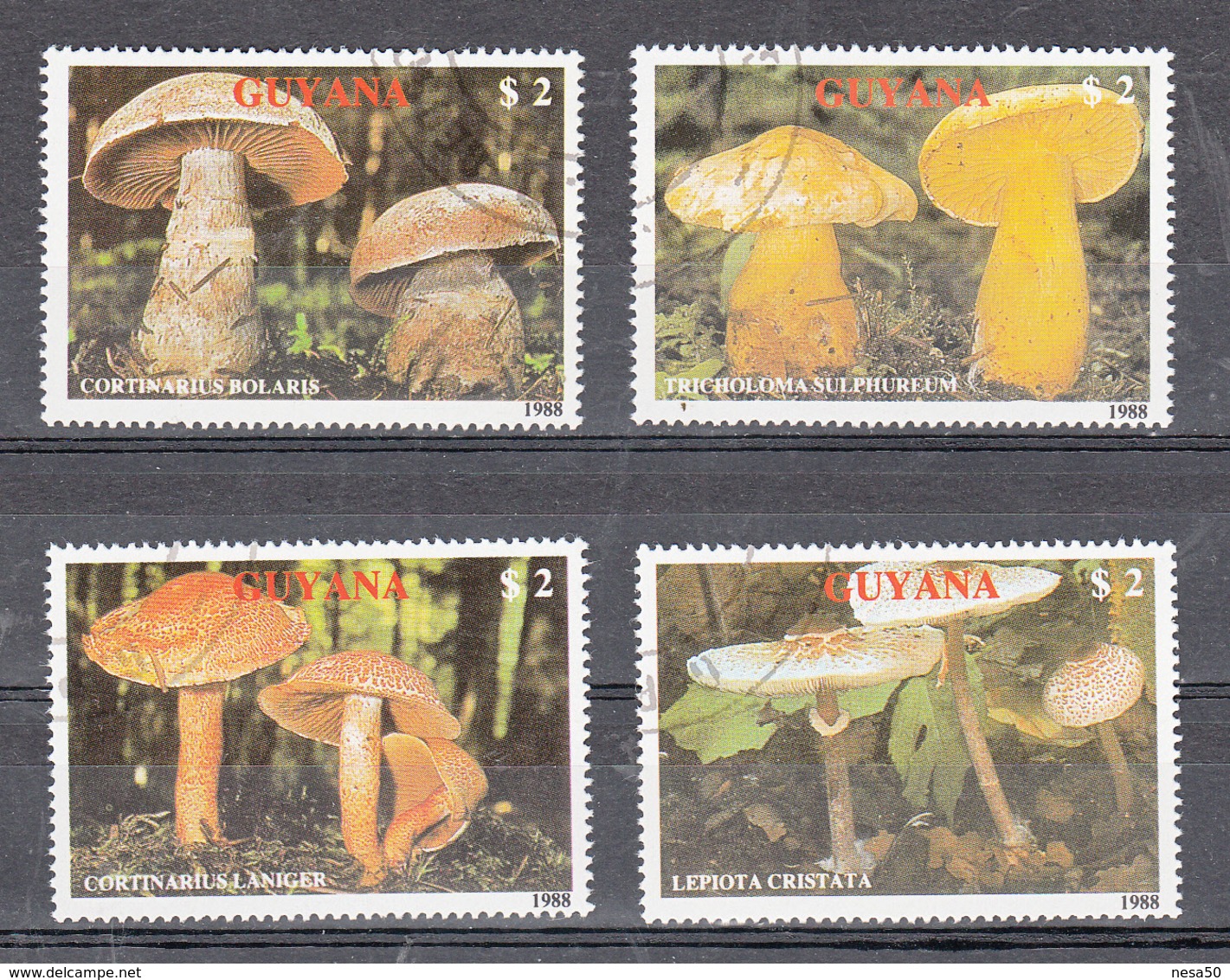 Guyana 1989 Mi Nr 2480 - 2483 Paddenstoelen, Mushroom (2) - Guyana (1966-...)