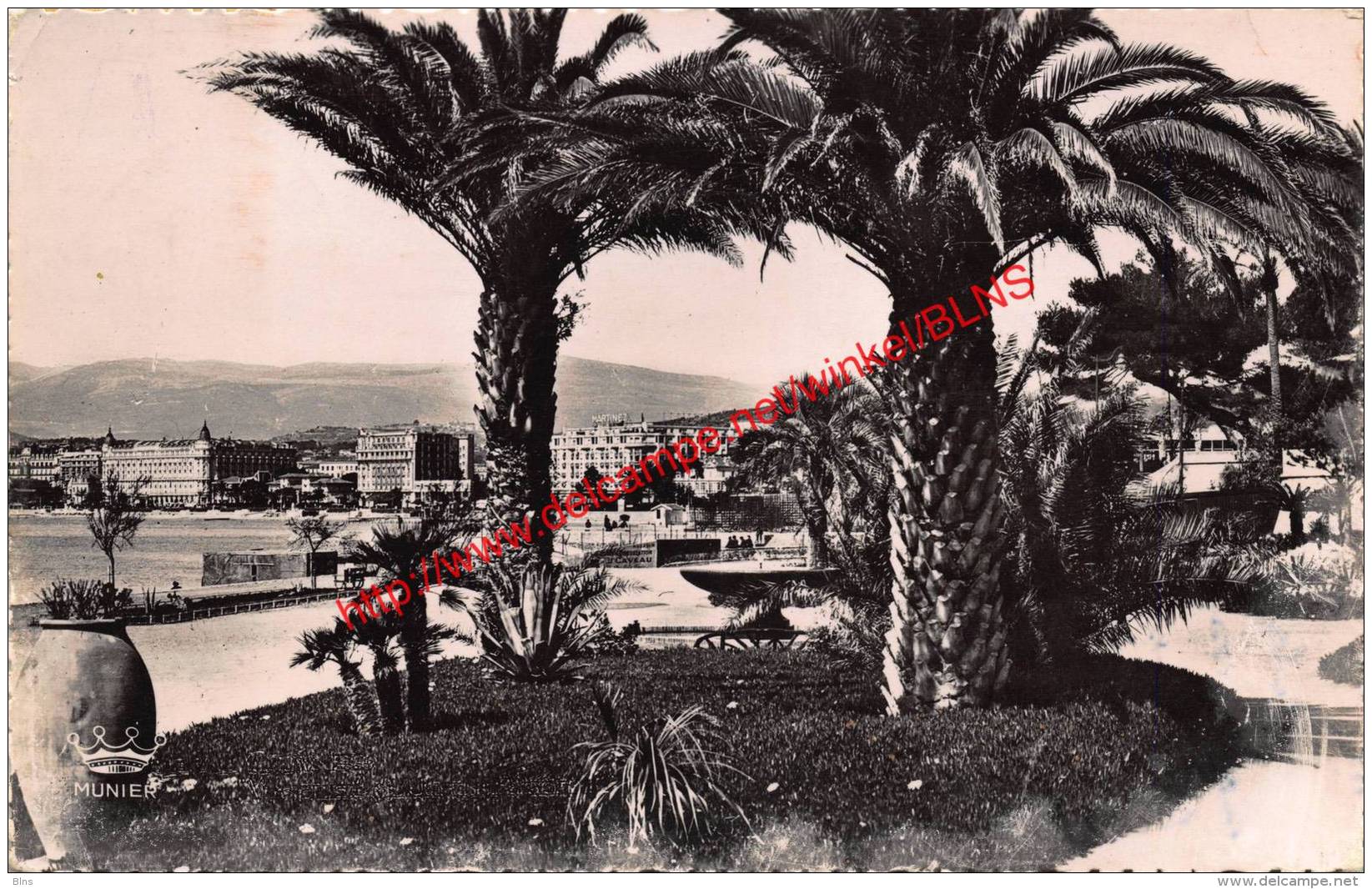 Vue Sur Les Hôtels Prise Du Jardin Albert - Cannes - Cannes