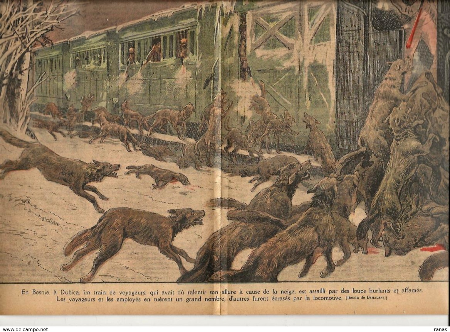 Bosnie Loups Revue Le Pélerin N° 2346 De 1922 - Other & Unclassified