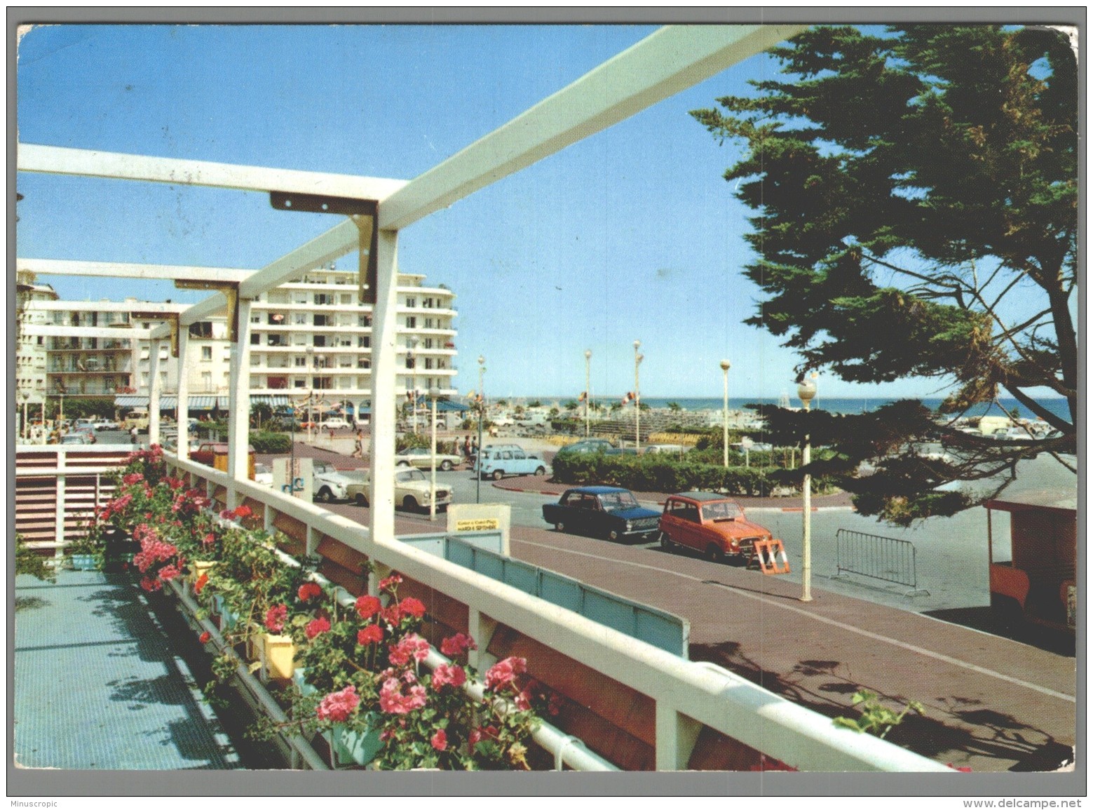 CPM 66 - Canet Plage - Vue Sur Le Front De Mer - Canet En Roussillon