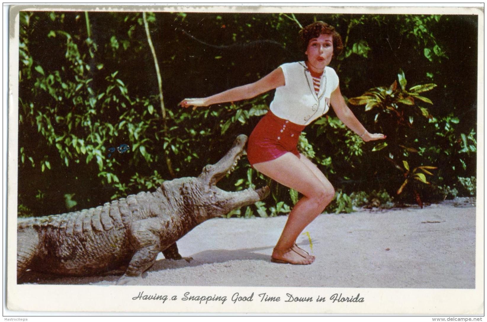 PIN-UP   Ragazza In Bermuda E Coccodrillo  Caiman Crocodile  Miami  Florida - Pin-Ups