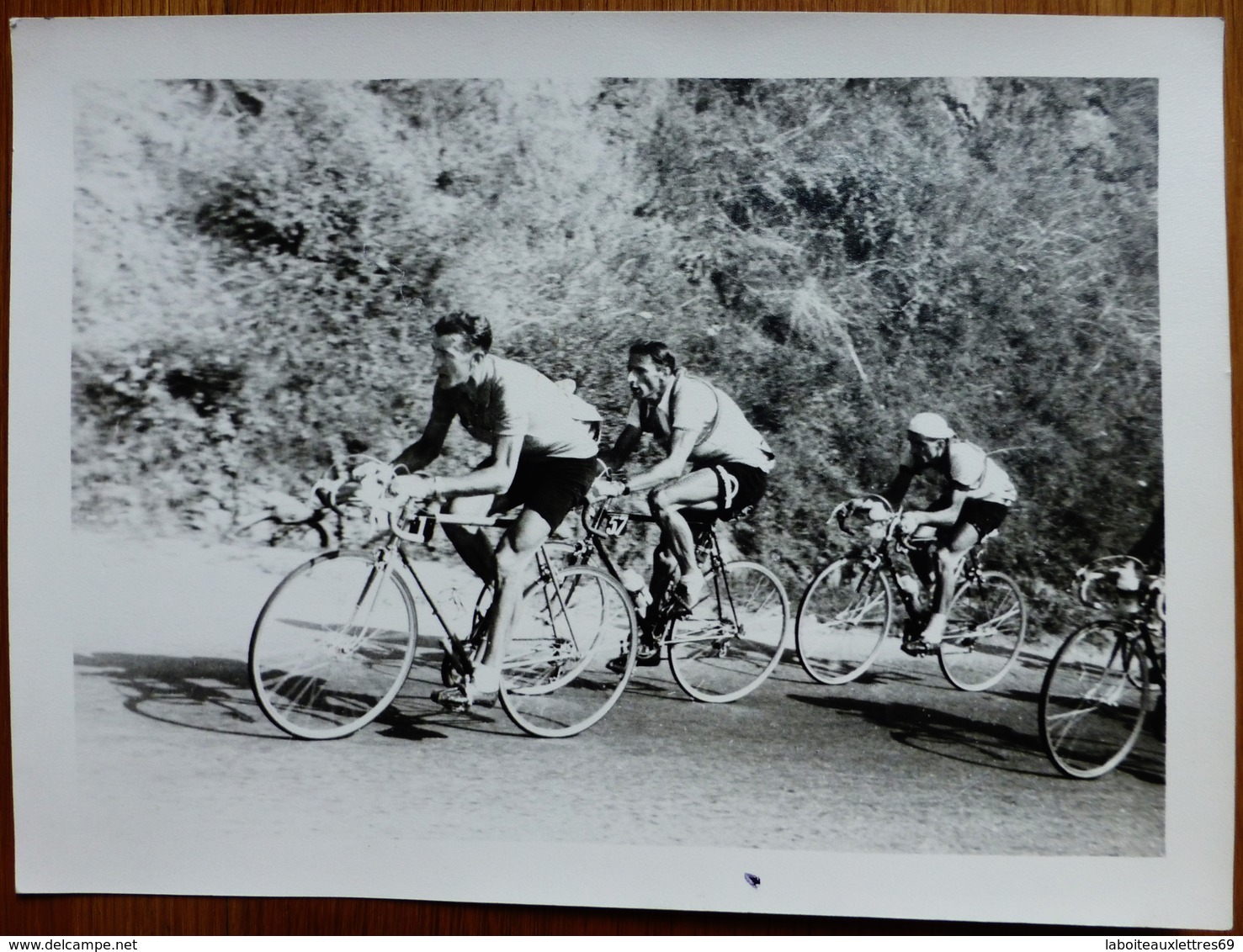 PHOTO EN NOIR ET BLANC CYCLISME - LOUISON BOBET ET RAPHAEL GEMIGNANI EN COURSE - Cycling
