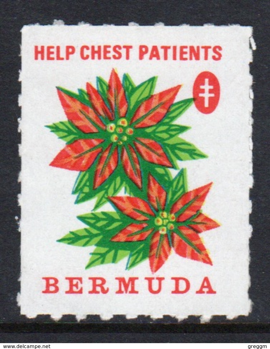 Bermuda  Single Undated Christmas Charity Label In Unused Condition. - Cinderellas