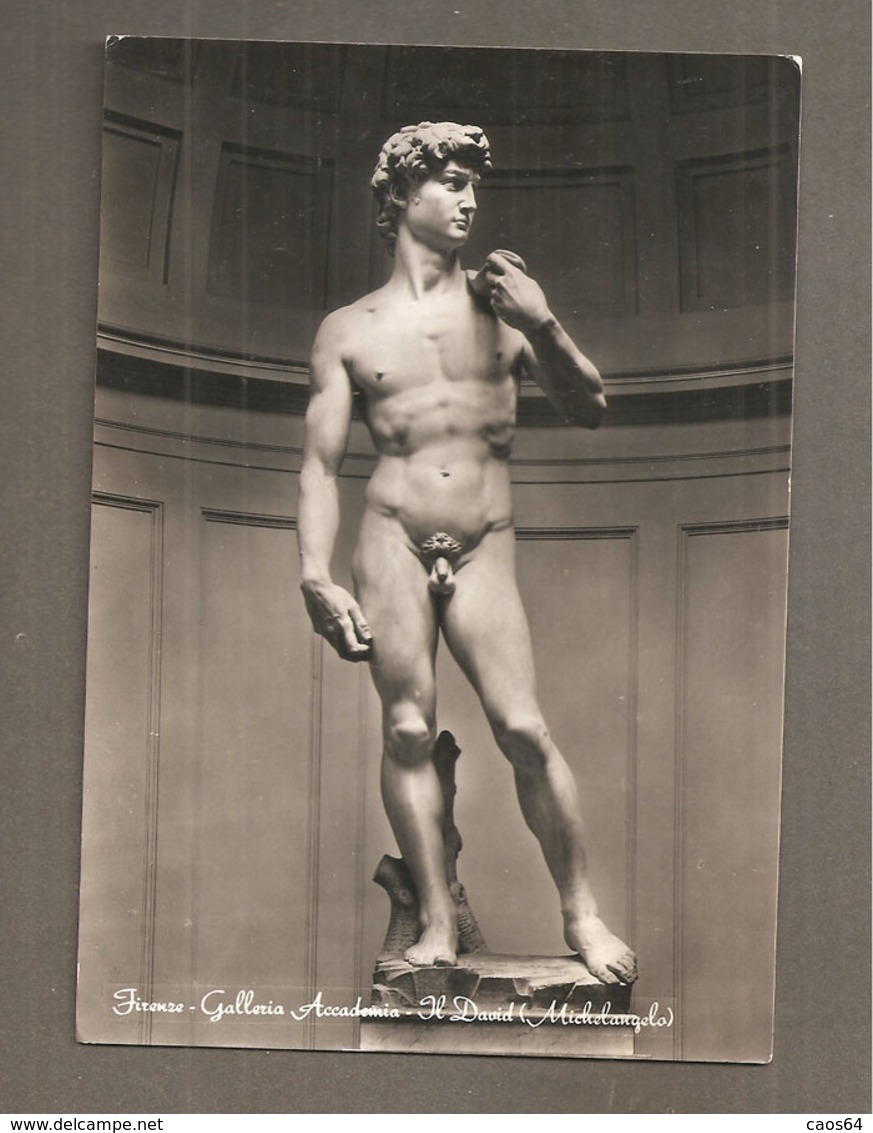 IL DAVID  MICHELANGELO Firenze Galleria Accademia CARTOLINA NON VIAGGIATA - Sculptures