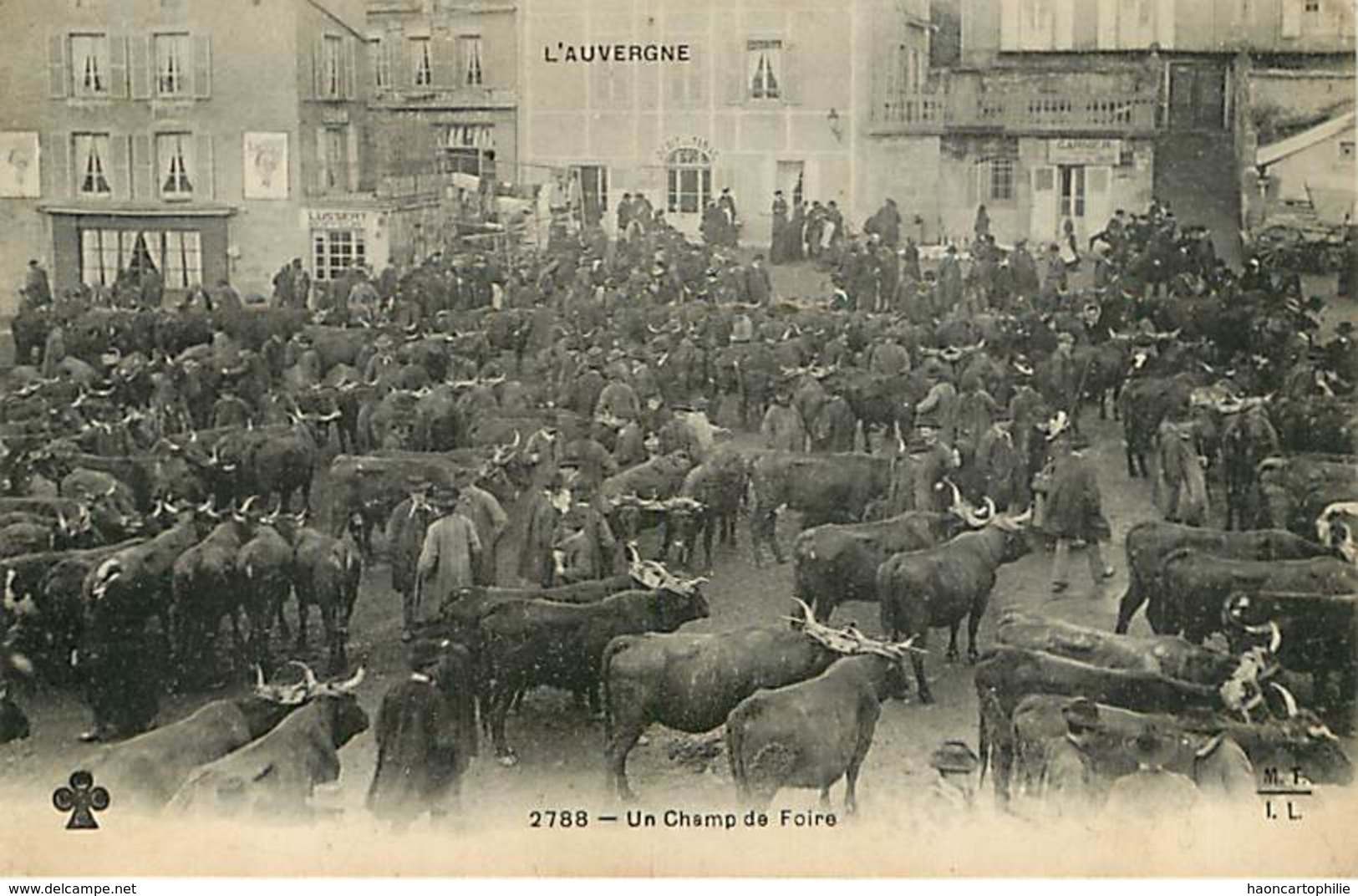 Auvergne : Lot De 10 Cartes Foires Et Marchés - Sonstige & Ohne Zuordnung