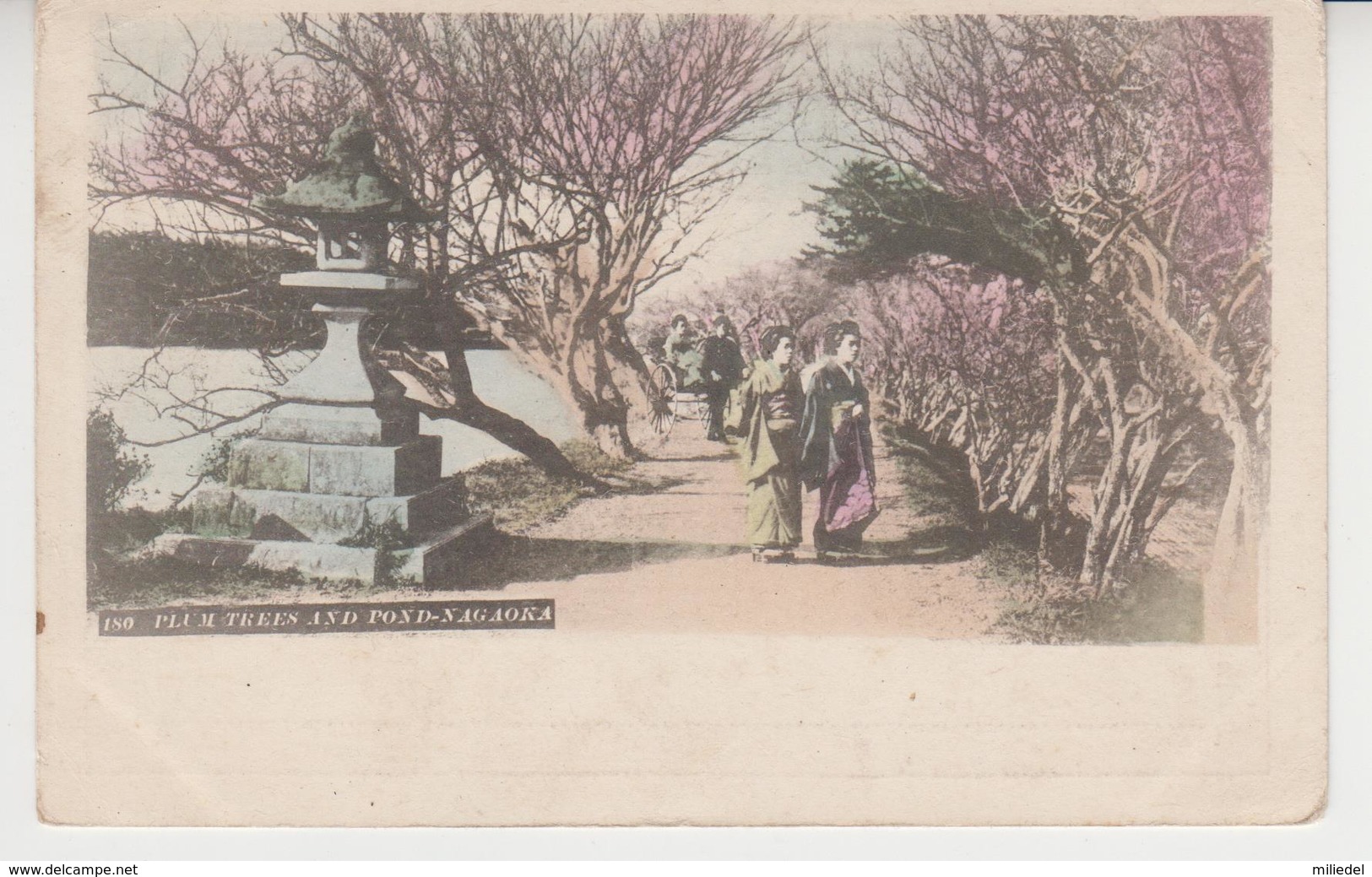 A724 /  JAPON    / PLUM  TREES  AND  POND - NAGAOKA   /  Circa 1900 :   ( Recto - Verso ) - Autres & Non Classés