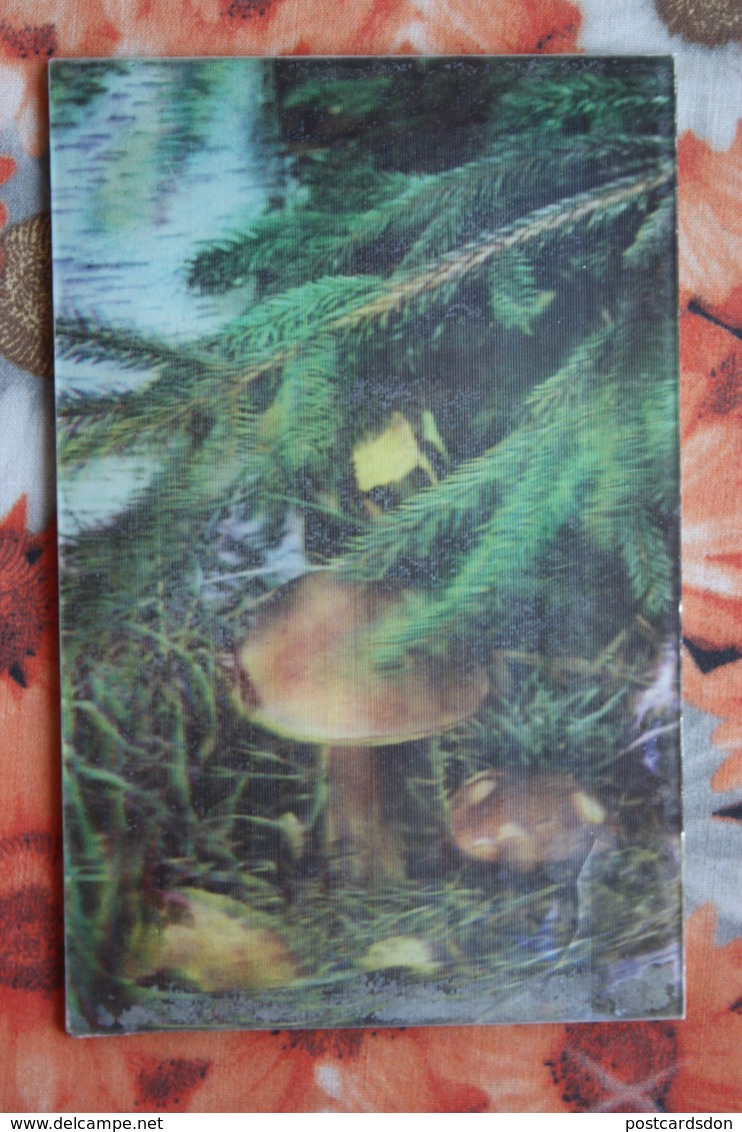 MUSHROOM  - OLD  USSR Postcard 3D Stereo PC 1982 - VERY RARE! - Champignons