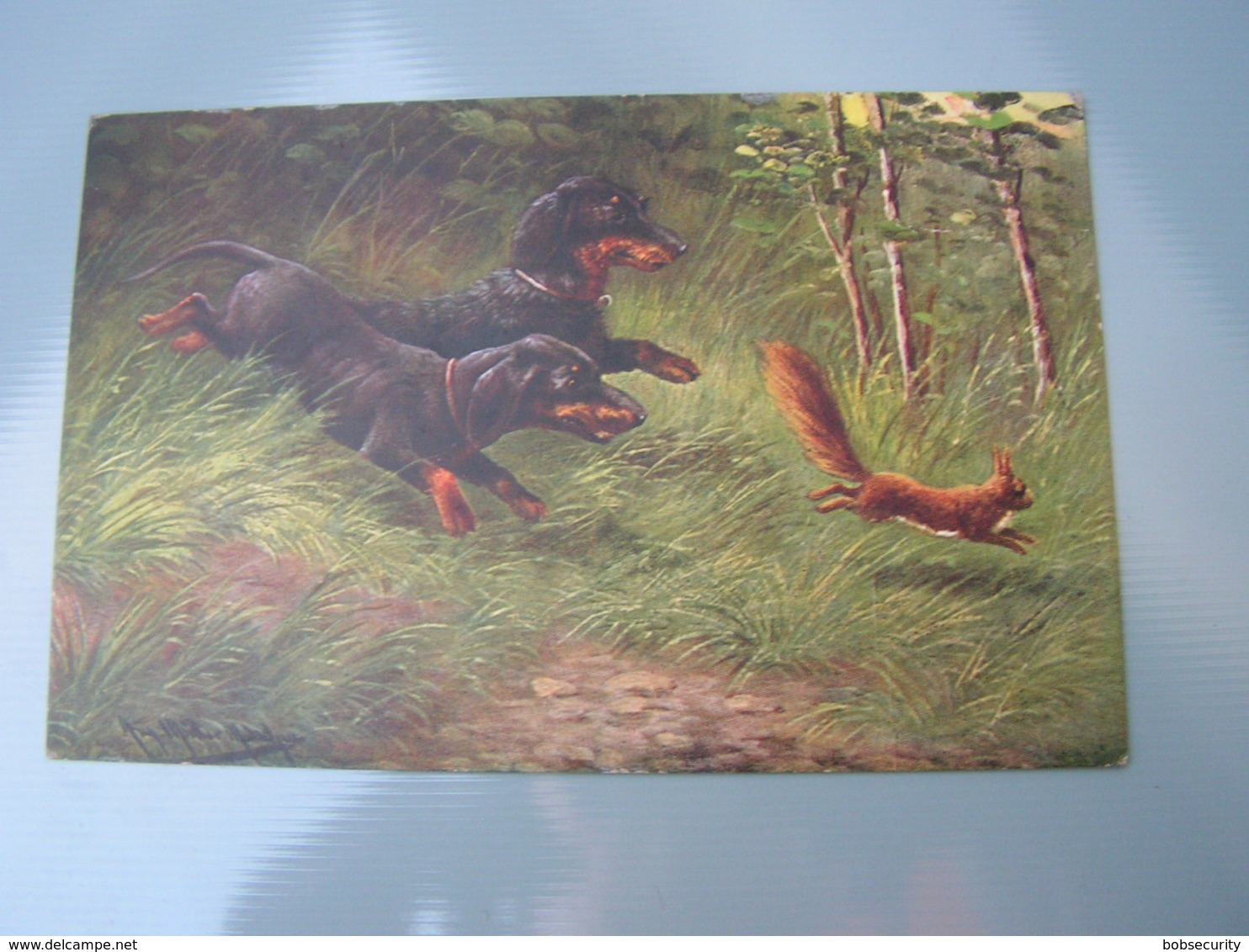 Dackel, Jagd Kunst Karte  1912 - Hunde
