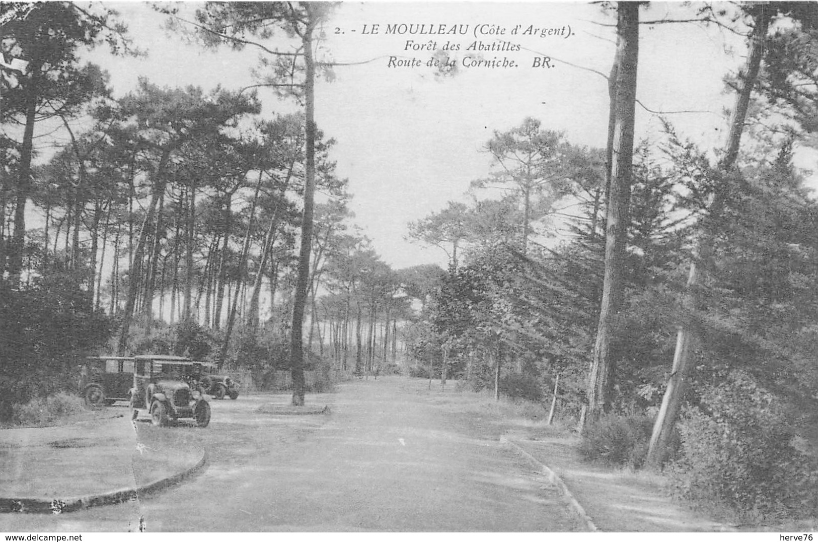 LE MOULLEAU - Forêt Des Abatilles - Route De La Corniche - Andere & Zonder Classificatie