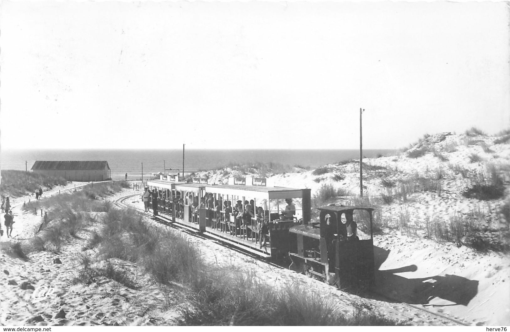 Bassin D'ARCACHON - Cap Ferret, Le Petit Train Dans Les Dunes - CPSM - Arcachon