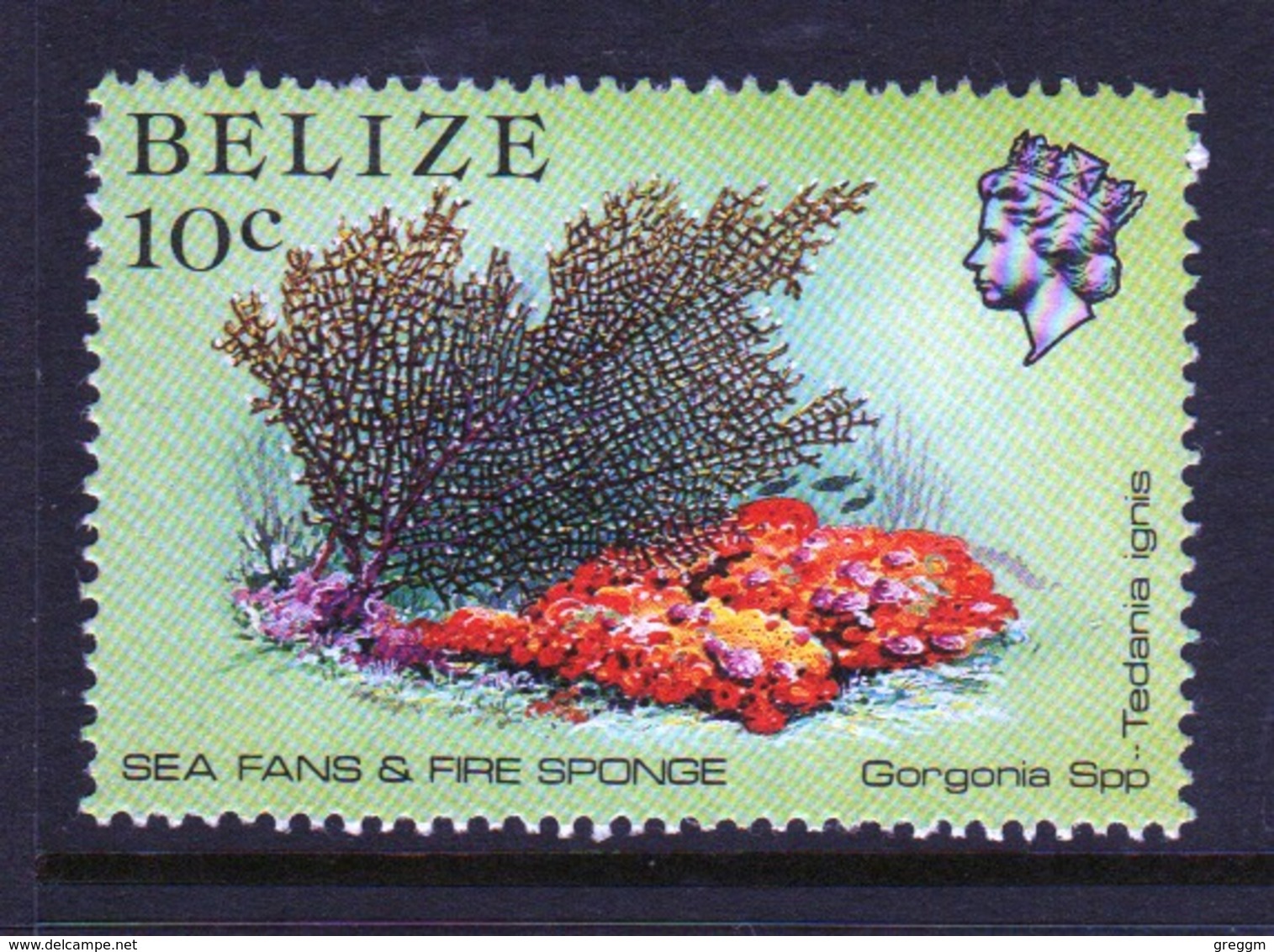 Belize 1984 Single 10 Cent Definitive Stamp From The Marine Life Of The Belize Coral Reef. - Belize (1973-...)