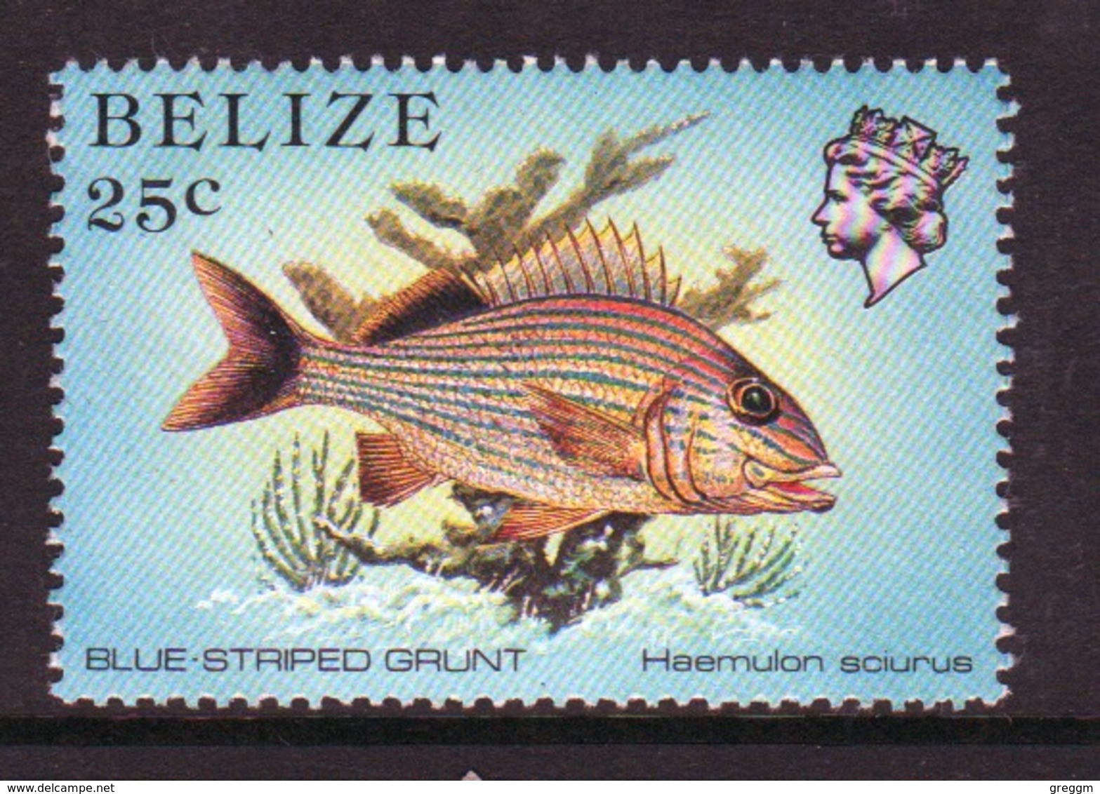 Belize 1984 Single 25 Cent Definitive Stamp From The Marine Life Of The Belize Coral Reef. - Belize (1973-...)