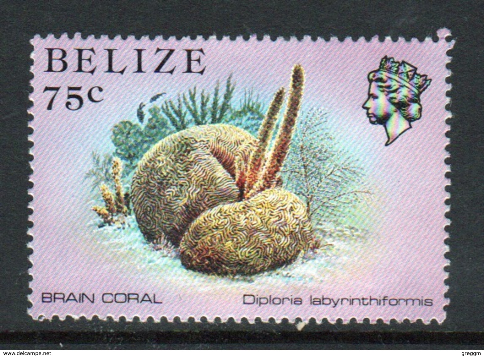 Belize 1984 Single 75 Cent Definitive Stamp From The Marine Life Of The Belize Coral Reef. - Belize (1973-...)