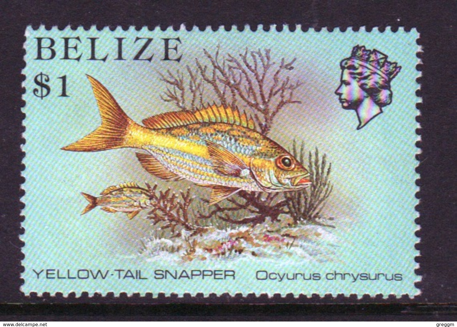 Belize 1984 Single 1 Dollar Definitive Stamp From The Marine Life Of The Belize Coral Reef. - Belize (1973-...)