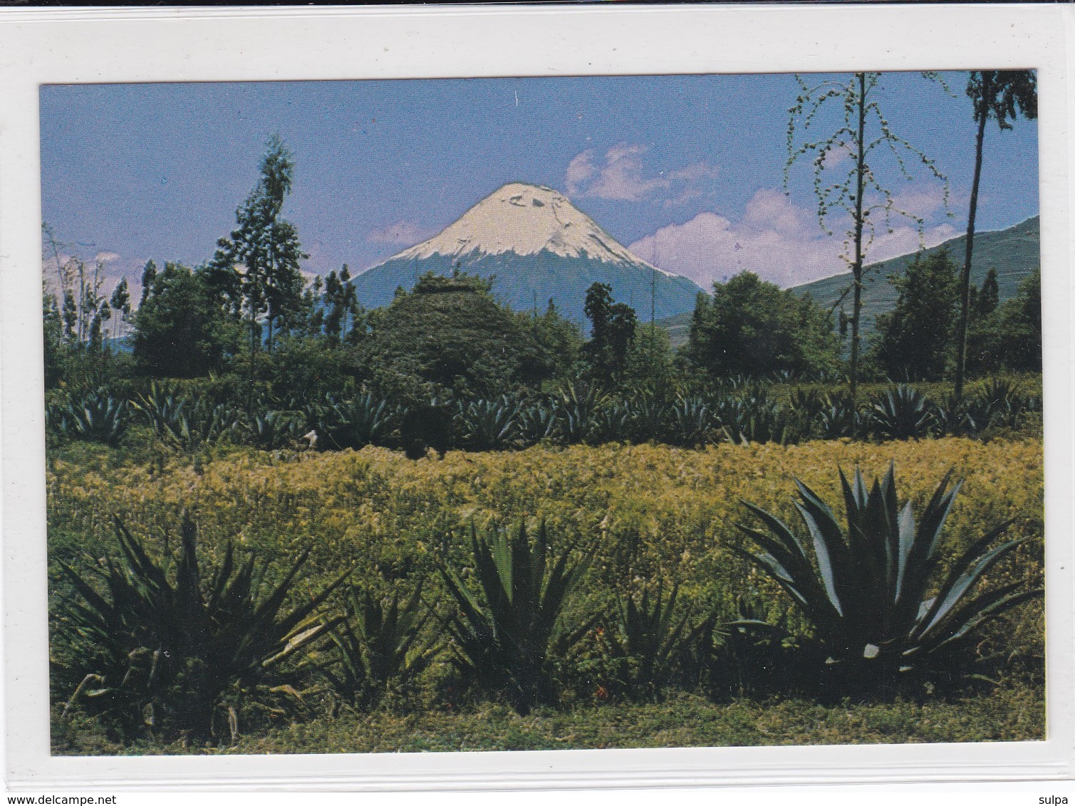 Tungurahua. Ecuadorian Andes. Ecuador - Ecuador