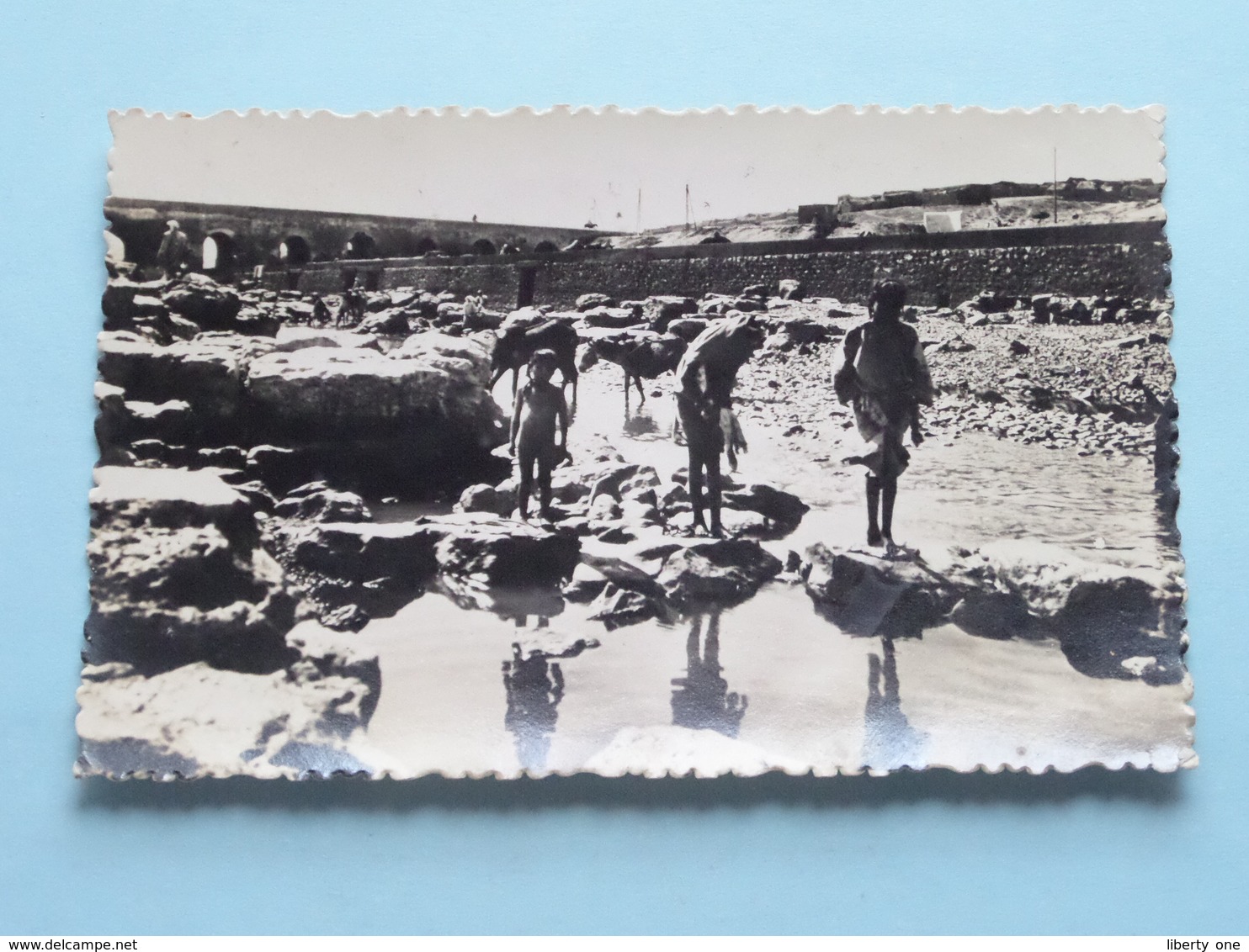 KASBAH-TADLA Scène Sur Les Rives De L'Oum Er Rebia (La Cigogne) Anno 1948 ( Voir Photo Pour Détail Svp ) ! - Autres & Non Classés