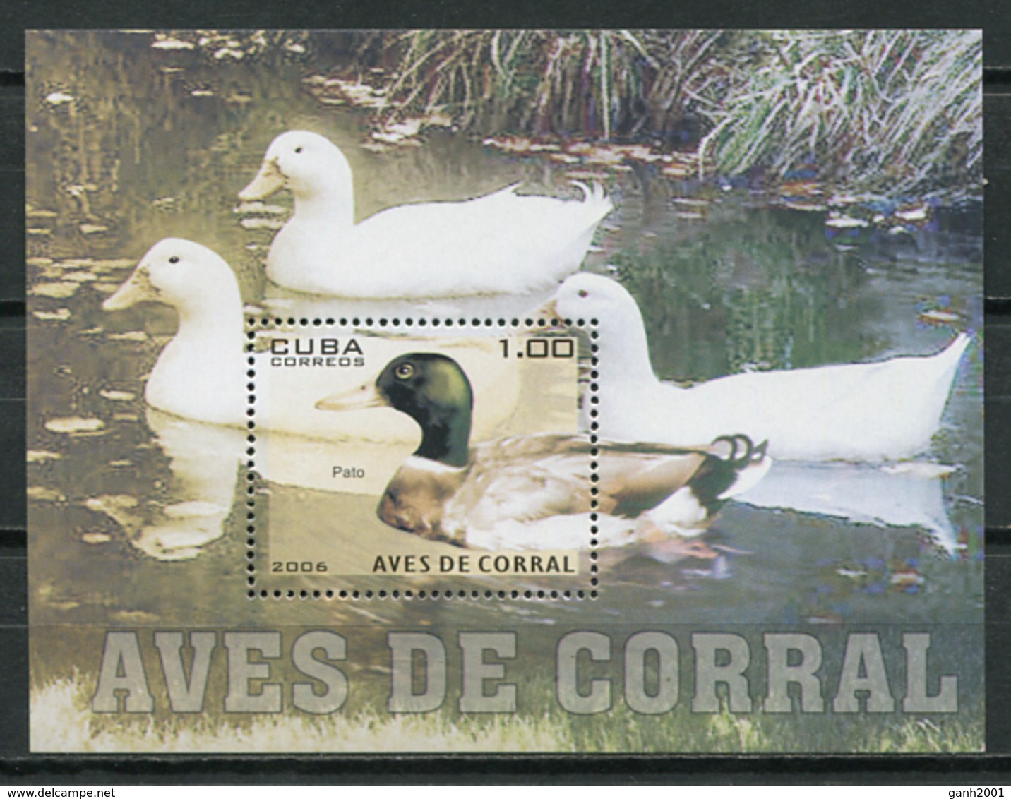 Cuba 2006 / Birds  MNH Vögel Aves Vögel Oiseaux / Cu8718  C3 - Autres & Non Classés