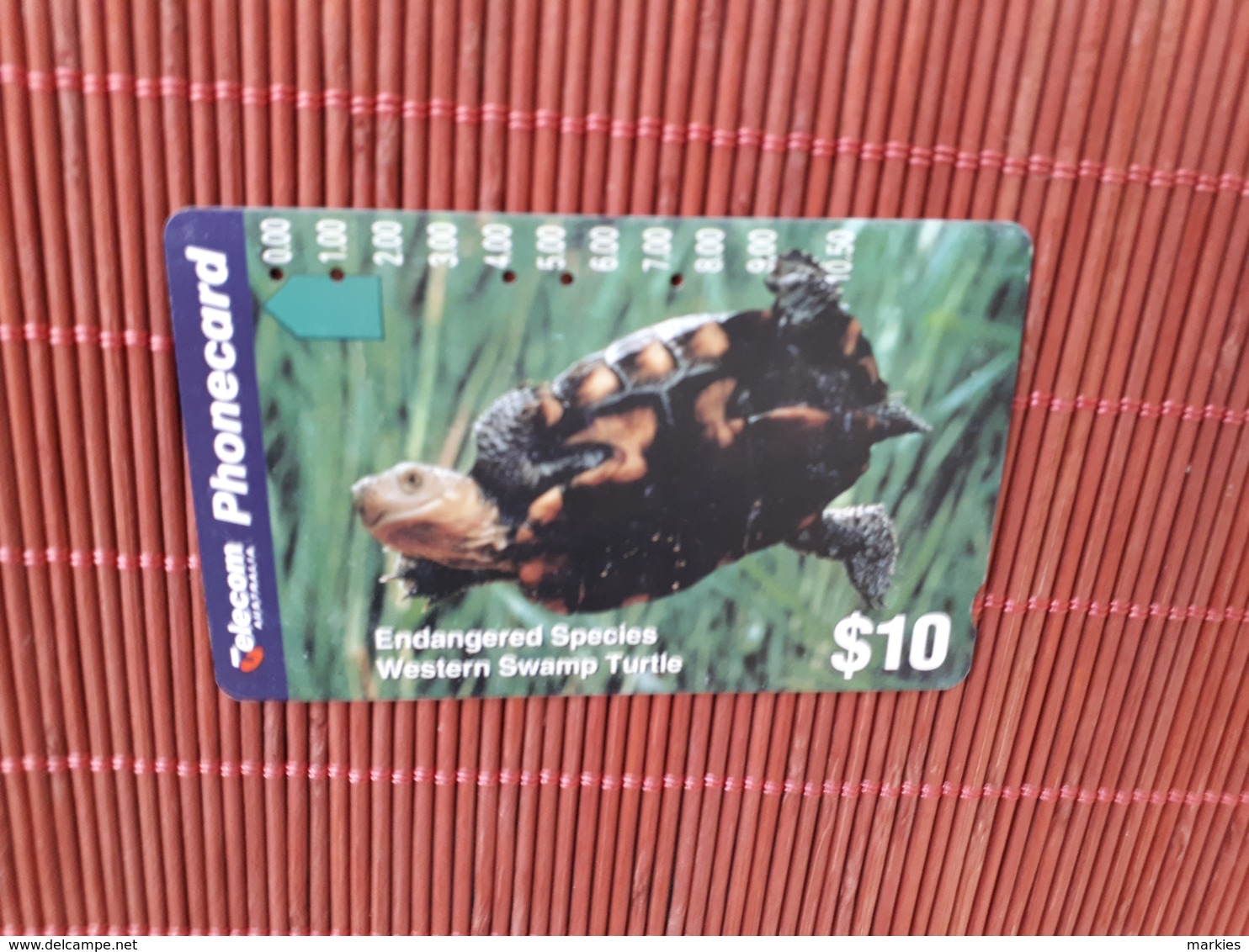 Phonecard Turtle - Tortugas