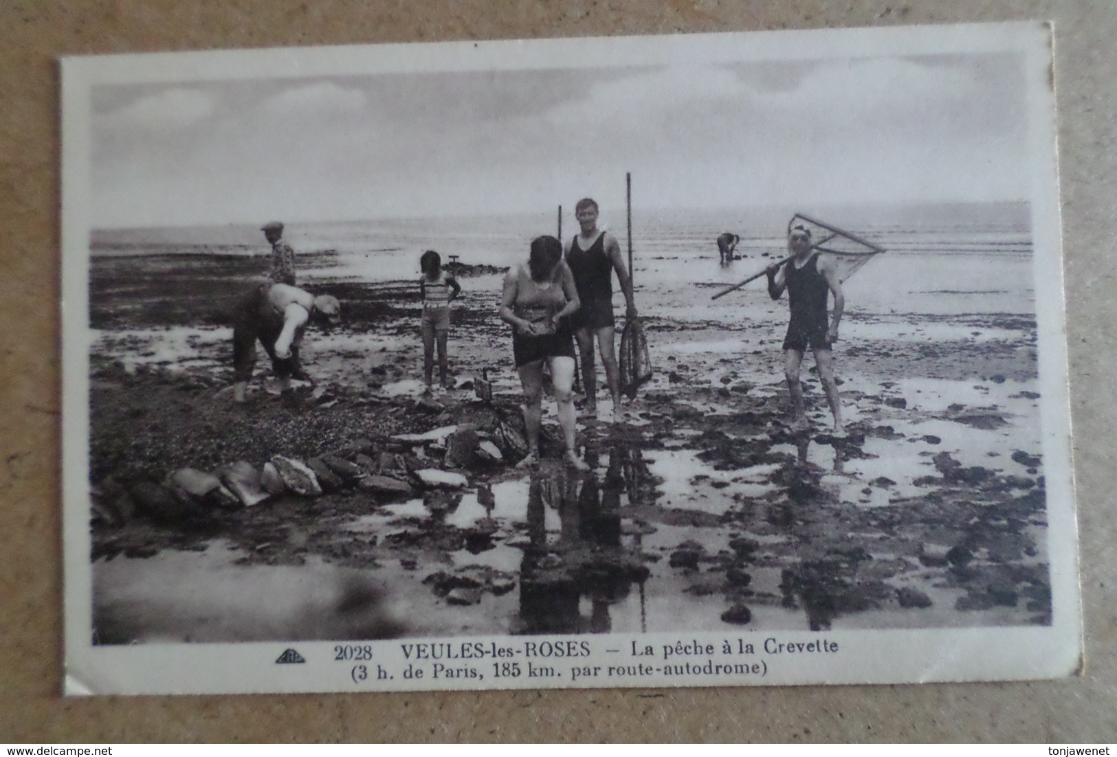 VEULES LES ROSES - La Pêche à La Crevette ( 76 Seine Maritime ) - Veules Les Roses