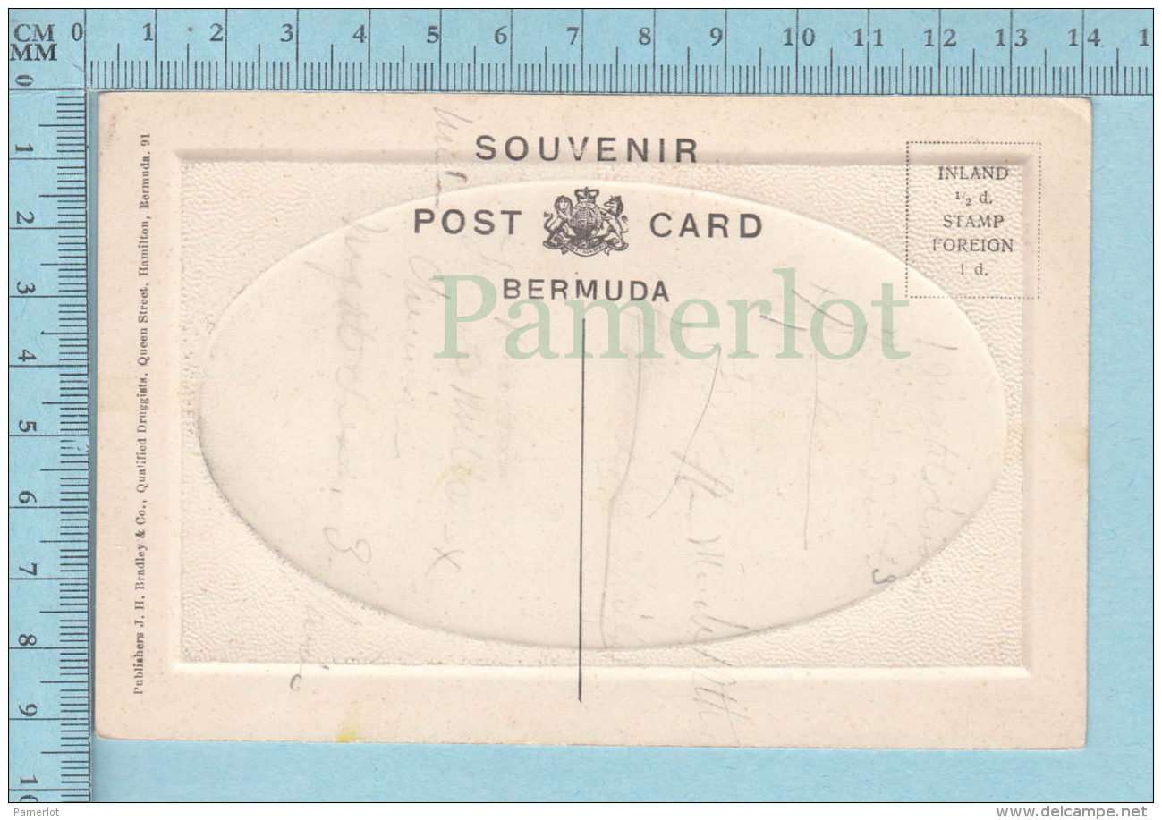 BERMUDA HAMILTON Saltus Bay  Showing Soncy - Vintage Embossed Postcard  Carte Postale - Bermuda