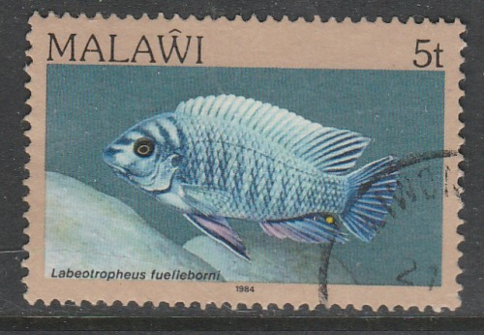 Malawi 1984 Fish - Malawi (1964-...)