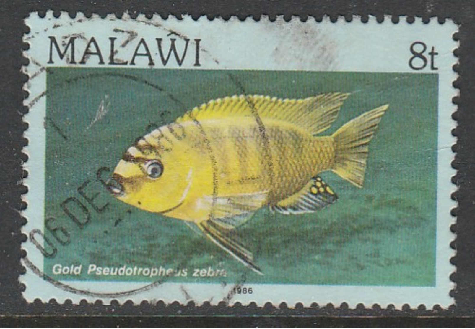 Malawi 1984 Fish - Malawi (1964-...)