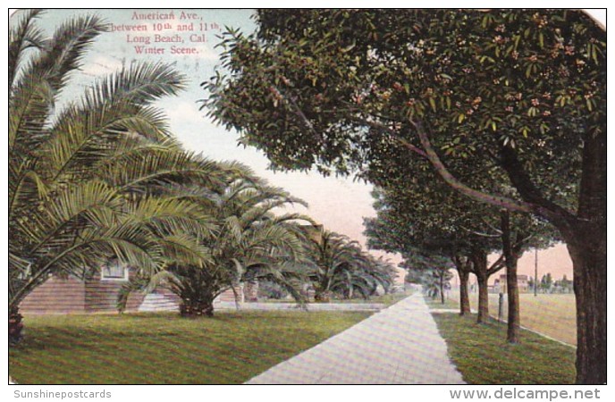 California Long Beach American Avenue Between 10th And 11th Winter Scene 1909 - Long Beach