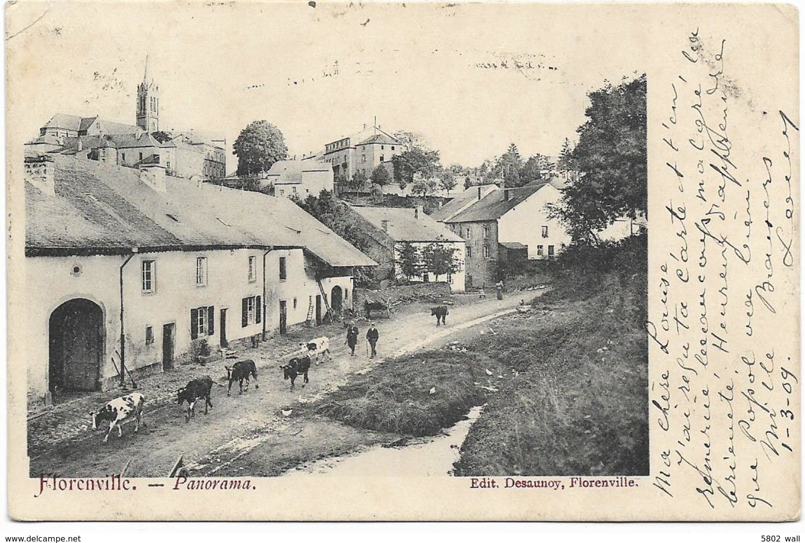 FLORENVILLE : Panorama - 1909 - Belle Animation - Florenville