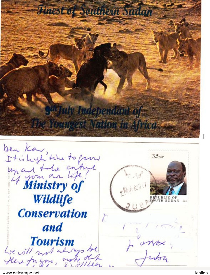 Südsudan SOUTH SUDAN "Lions With A Kill" Postcard With 3.5 SSP Stamp 1st Issue Soudan Du Sud #295 - Südsudan