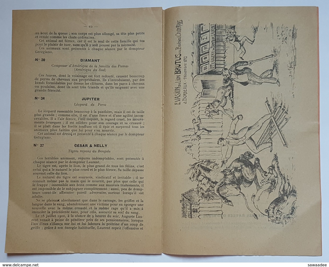 CATALOGUE - CIRQUE - DOMPTEUR - GRANDE MENAGERIE ET CINEMATORAPHE GEANT - AUGUSTE LAURENT - 1912 - Programmes