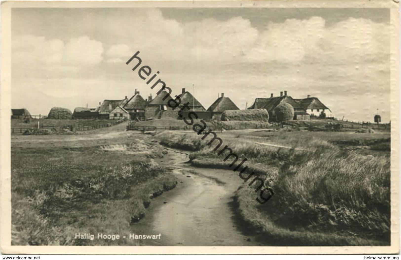 Hallig Hooge - Hanswarft - Foto-AK - Verlag Th. Thomsen Flensburg - Gel. 1954 - Halligen