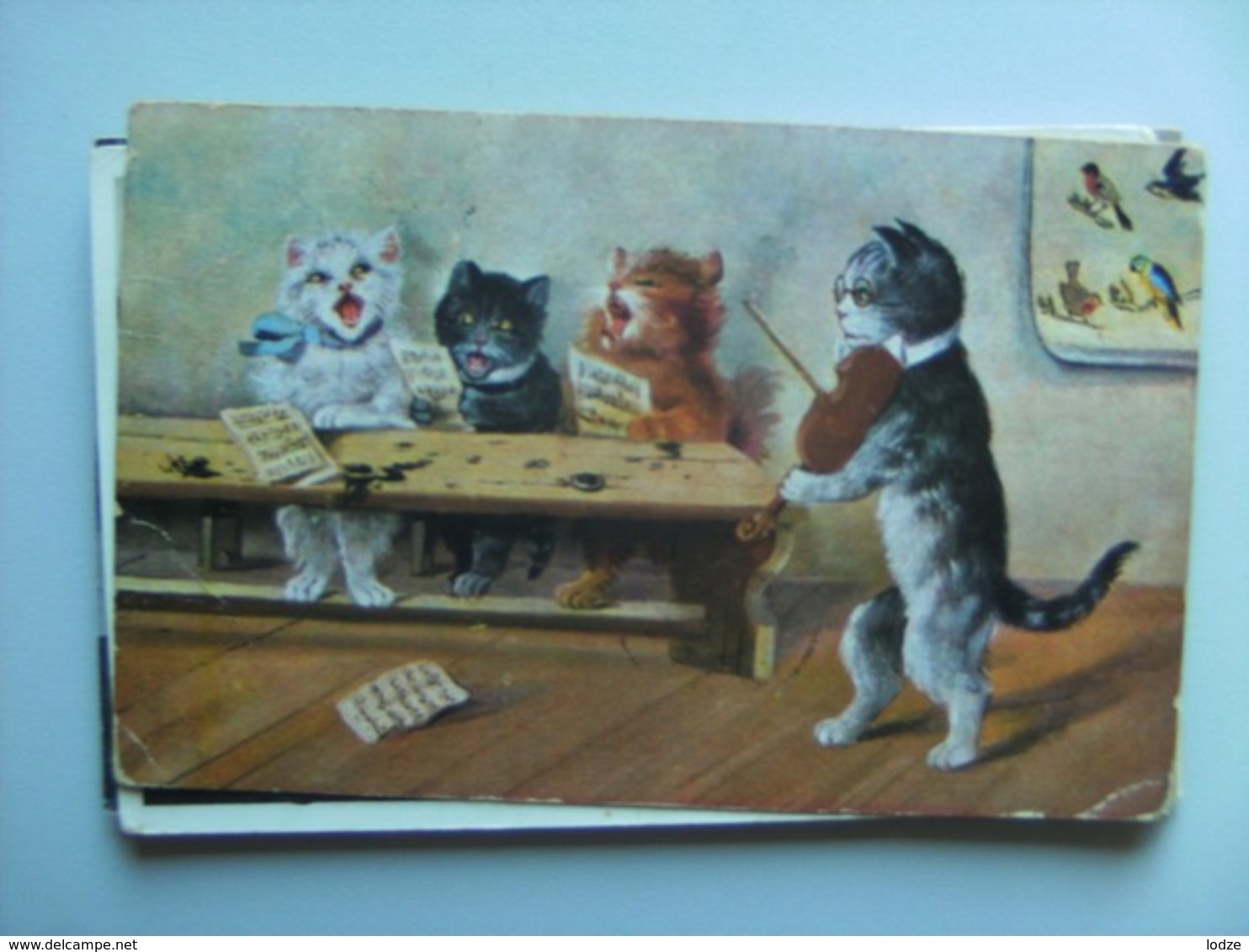 Chats Cats Katzen Poezen Playing Music And Singing Old - Geklede Dieren