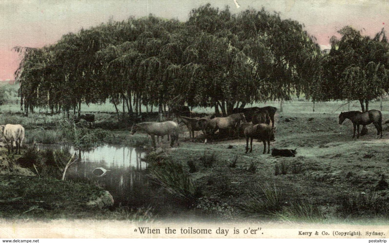 WHEN THE TOLOISE DAY IS O'ER - AUSTRALIA - Otros & Sin Clasificación