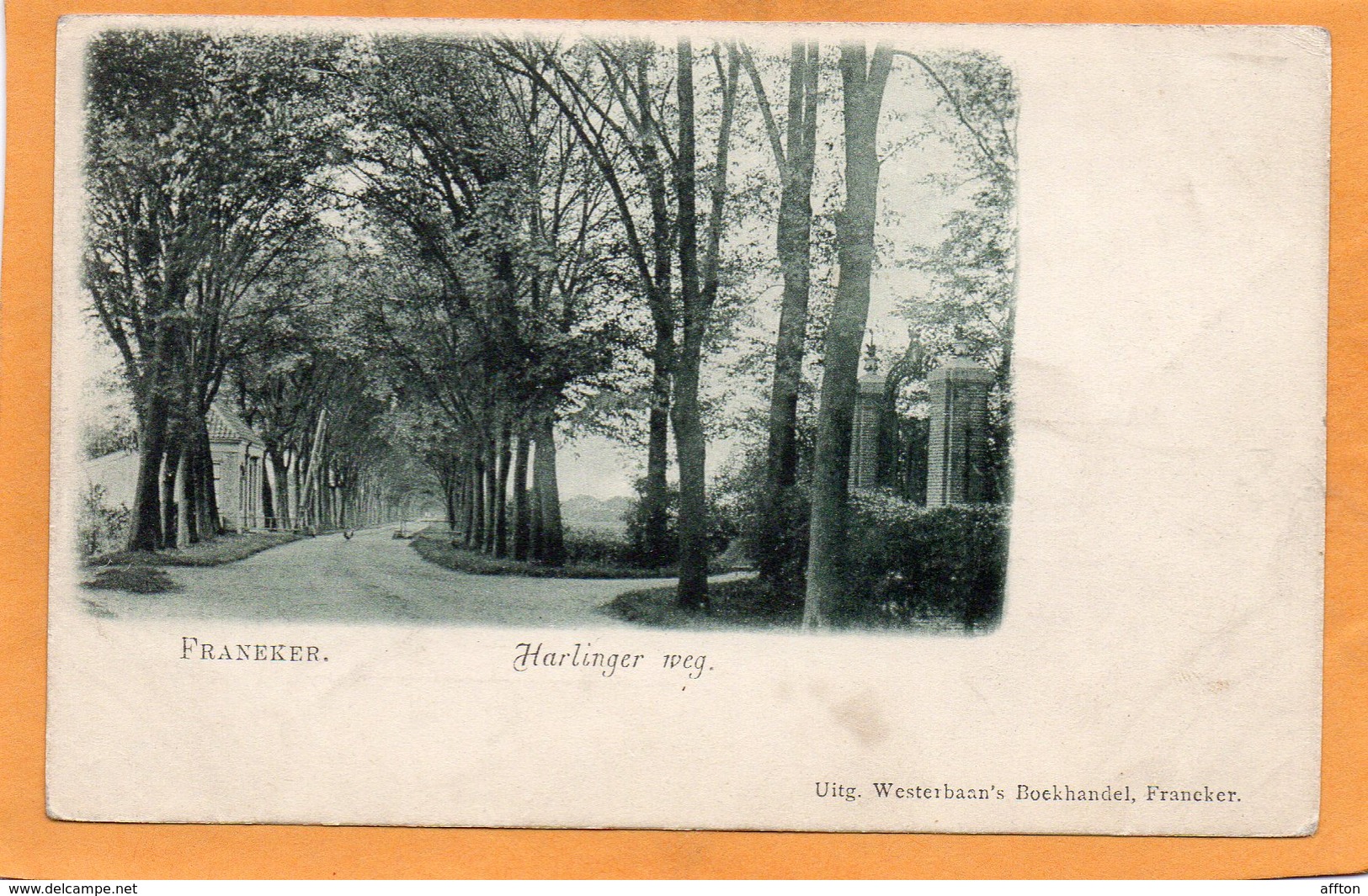 Franeker Netherlands 1900 Postcard - Franeker