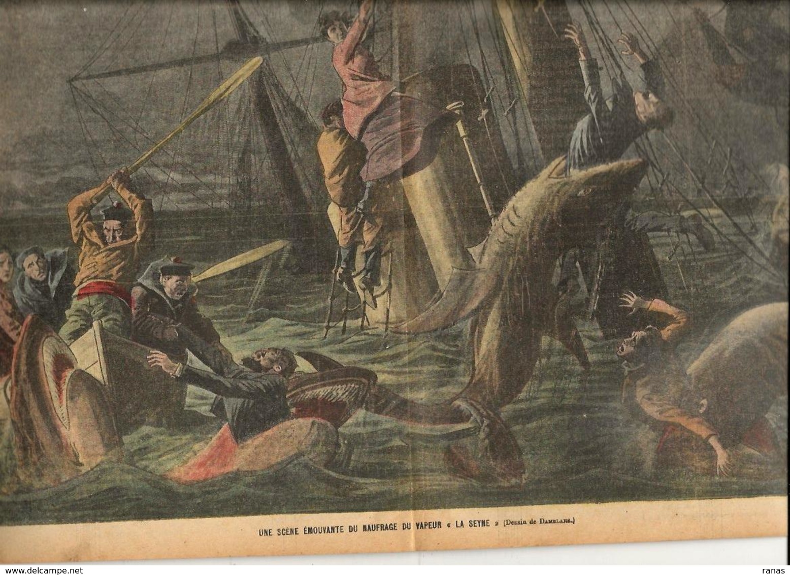 Requins Catastrophe Revue Le Pélerin N° 1720 De 1909 - Other & Unclassified