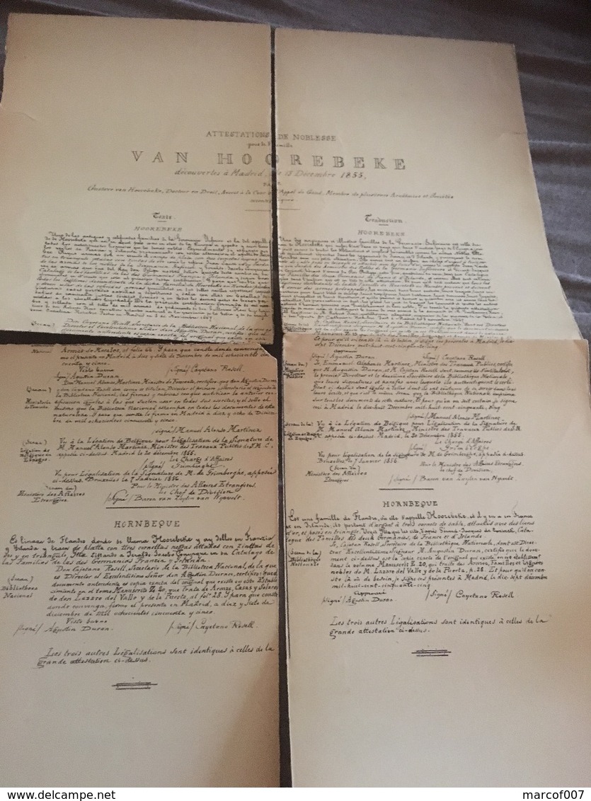 ATTESTATION DE NOBLESSE FAMILLE VAN HOOREBEKE 1855 A Voir - Manuscrits