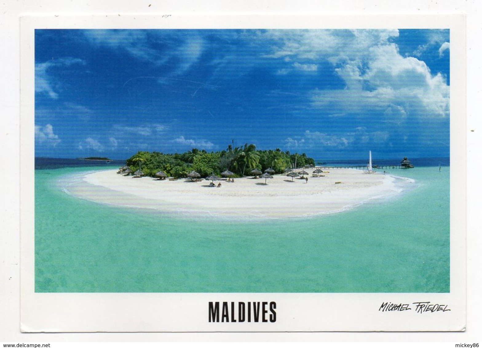 Maldives --Reethi Beach  --- Timbre (coquillage)  . Cachet - Maldive