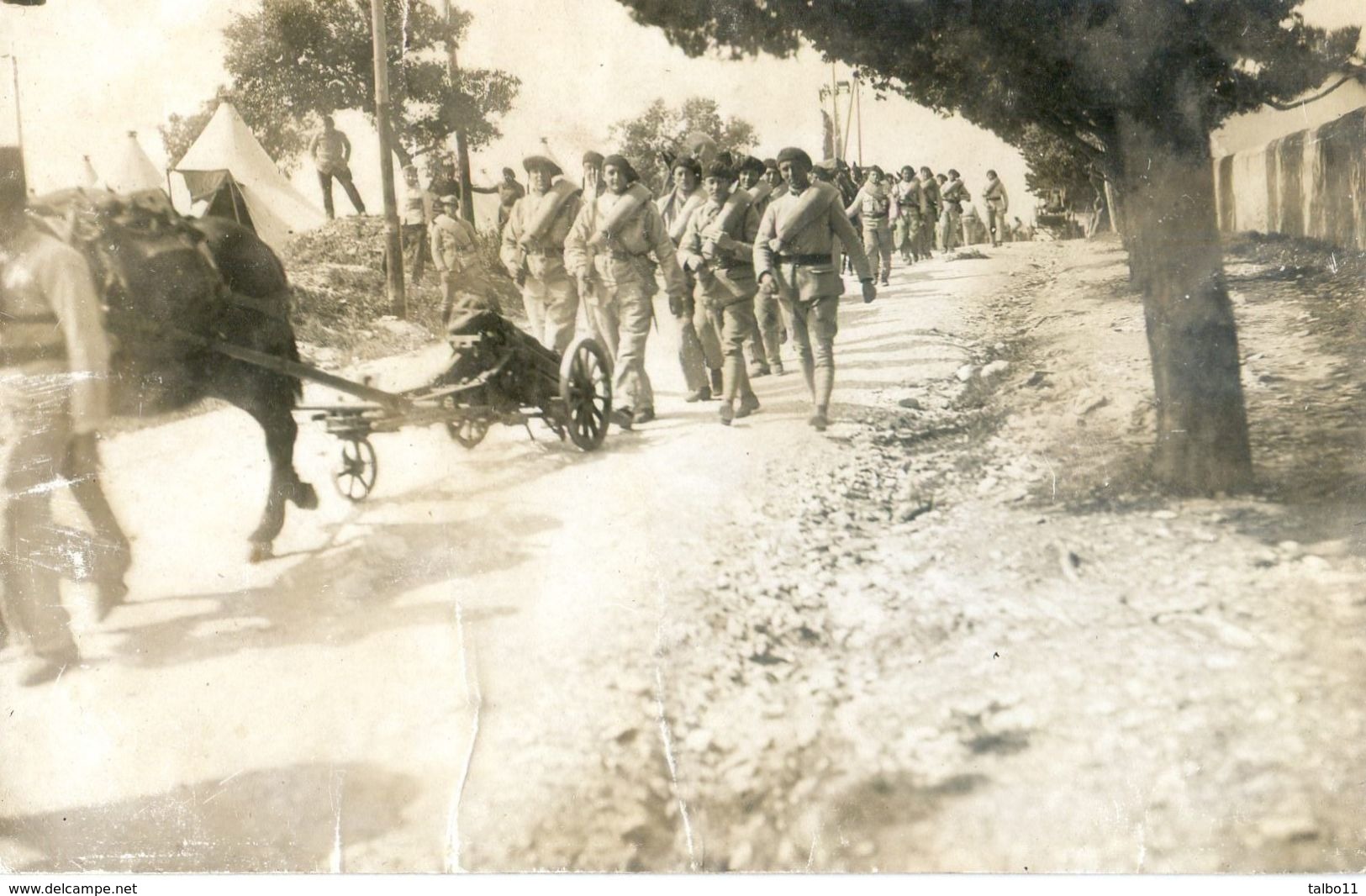 Carte Photo - Militaria - Défilé De Troupes (génie ?) - Canon Tracté Par Un Cheval - Manovre