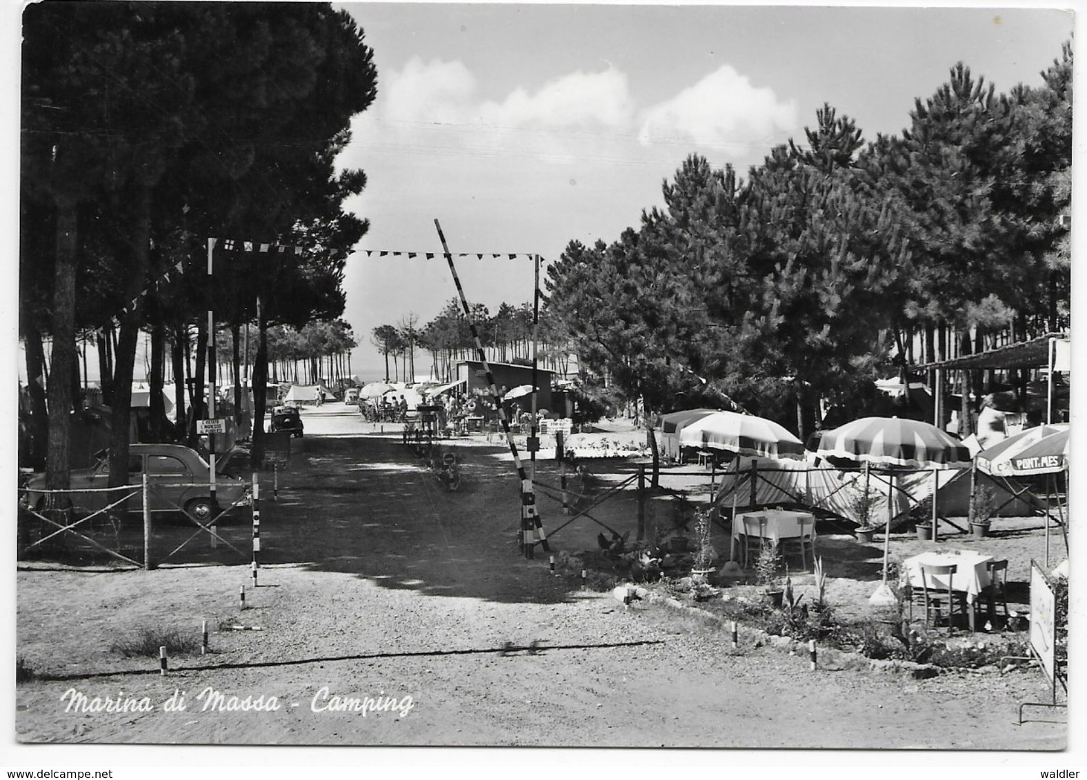 54100  MARINA DI MASSA, CAMPING  ~ 1960 - Altri & Non Classificati