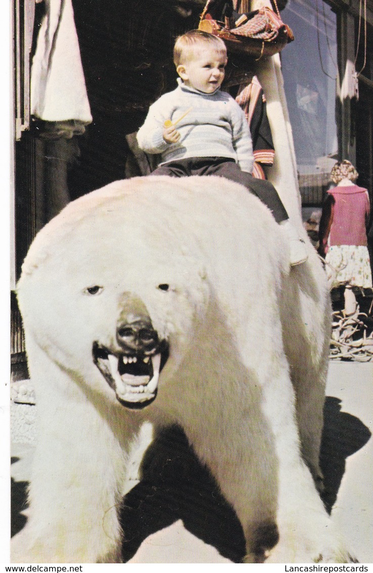 Postcard Norway Norge Tromso Main Street Polar Bear And Pipe Smoking Hunter My Ref  B12342 - Norvège