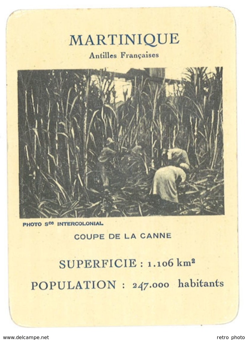 Carte Martinique - Antilles Françaises - Coupe De La Canne - Unclassified