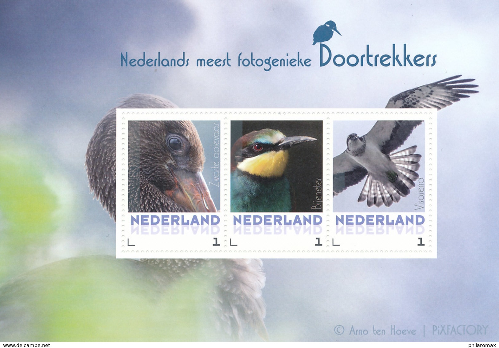 D34714 CARTE MAXIMUM CARD RR 2017 NETHERLANDS - YELLOW WAGTAIL - PLEASE READ!! CP ORIGINAL - Songbirds & Tree Dwellers