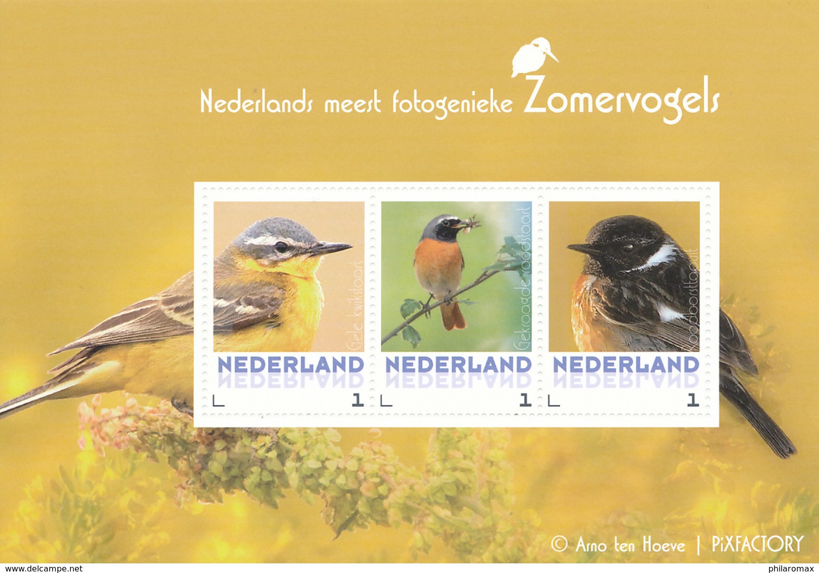 D34714 CARTE MAXIMUM CARD RR 2017 NETHERLANDS - YELLOW WAGTAIL - PLEASE READ!! CP ORIGINAL - Songbirds & Tree Dwellers