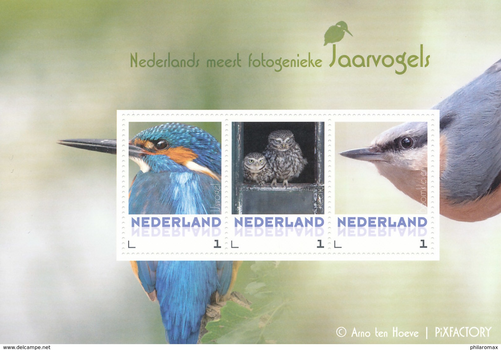 D34714 CARTE MAXIMUM CARD RR 2017 NETHERLANDS - YELLOW WAGTAIL - PLEASE READ!! CP ORIGINAL - Songbirds & Tree Dwellers