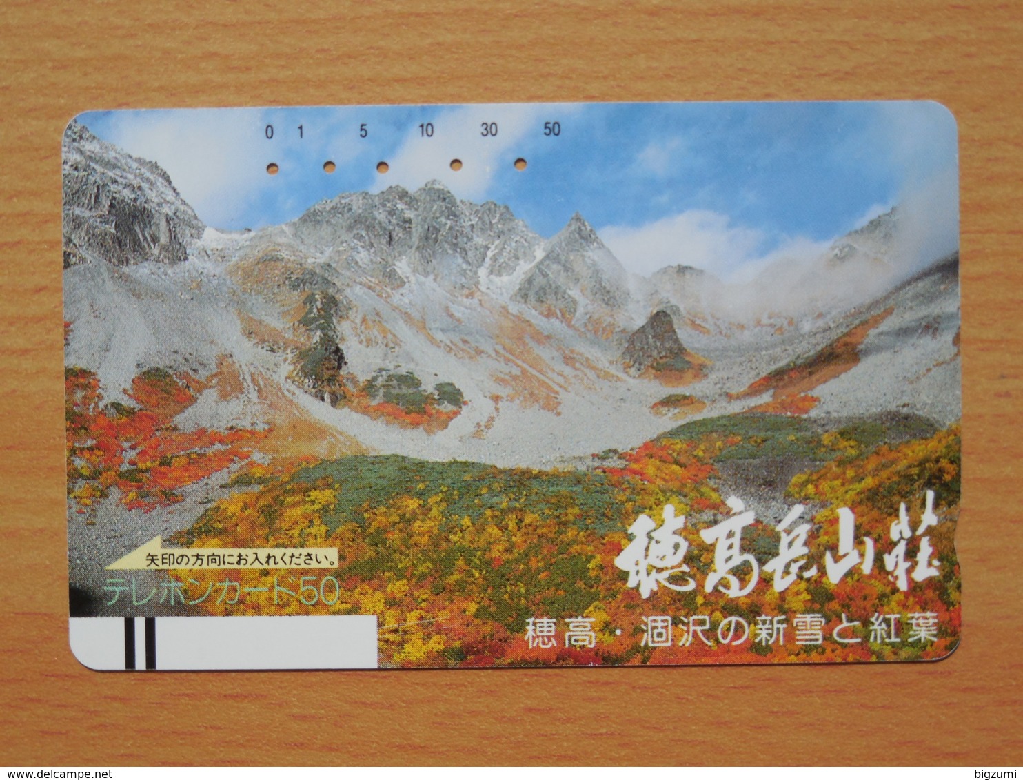 Japon Japan Free Front Bar, Balken Phonecard / 110-8749 / Landscape - Montagnes