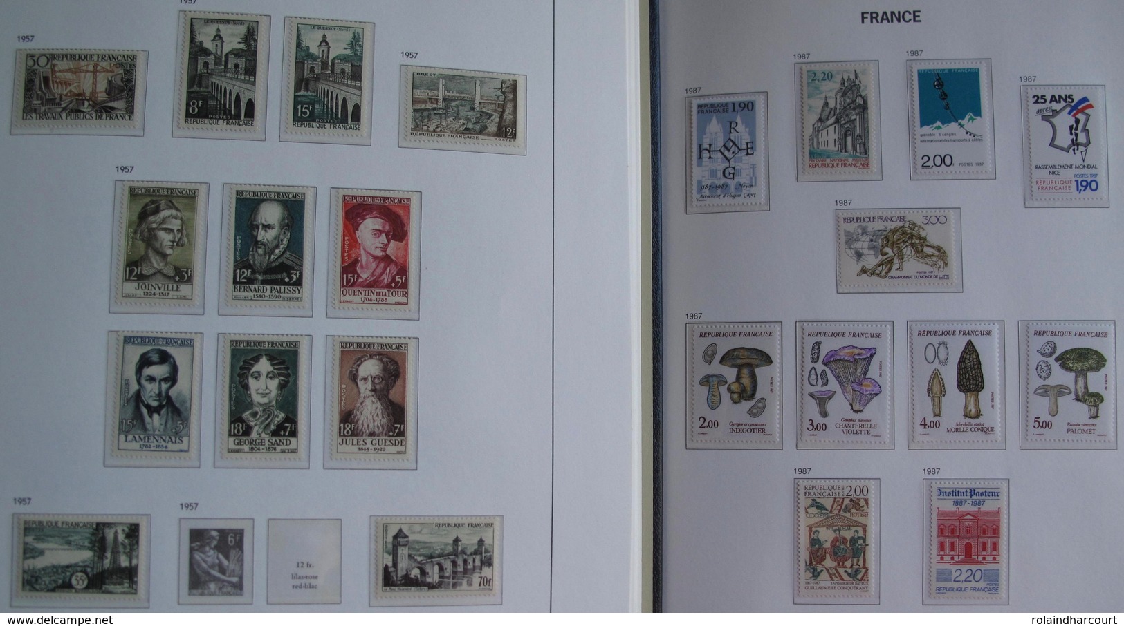 LOT R1595 - COLLECTION de FRANCE (AUCUNE CHARNIERE) en 4 ALBUMS de 245 pages - ENORME COTE : 15000,00 &euro; environ