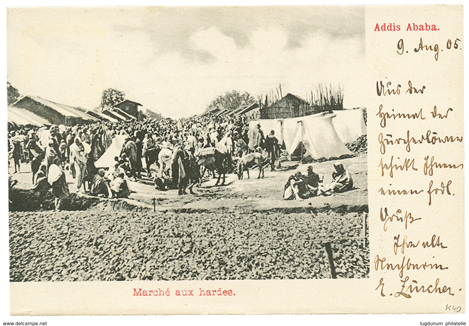 1384 1905 ETHIOPIA 10 On 1/2g + SOMALI COAST 10c Canc. HARRAR On Card Via DJIBOUTI To SWITZERLAND. Vf. - Ethiopië